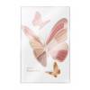 Pupa Butterfly Cofanetto Make-up 001